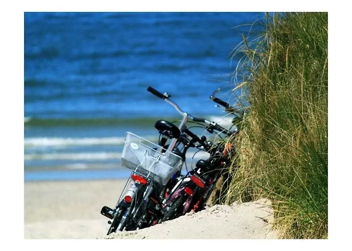 The Linnebargs, House 4